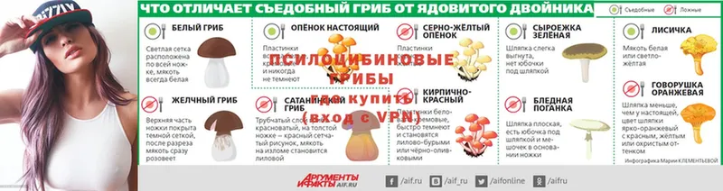 маркетплейс официальный сайт  Карабаш  Галлюциногенные грибы мицелий 